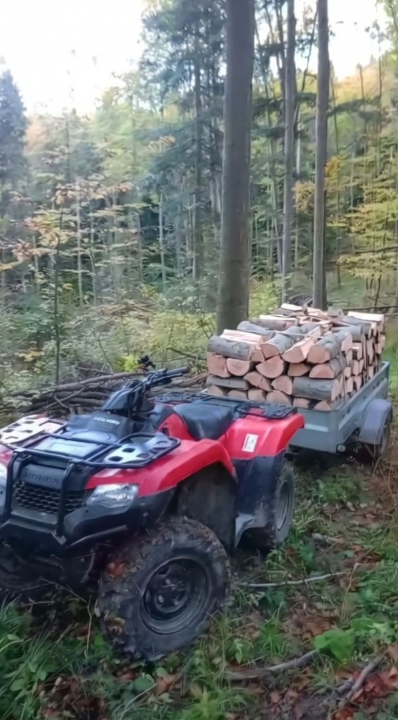 Quad Honda z przyczepą pełną drewna bukowego